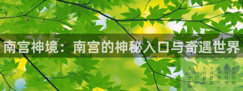 今年会停电吗：南宫神境：南宫的神秘入口与奇遇世界