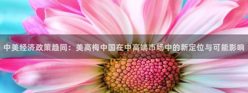 属猪的今年会添丁吗?：中美经济政策趋同：美高梅中国在中高端市场中的新定位与可能影响