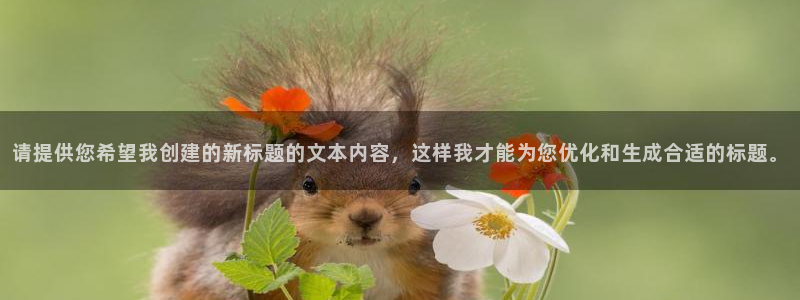 电子游戏今年会：请提供您希望我创建的新标题的文本内容，这样我才能为您优化和生成合适的标题。