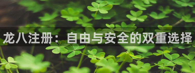 今年会科技赋能,让平台更有趣：龙八注册：自由与安全的双重选择
