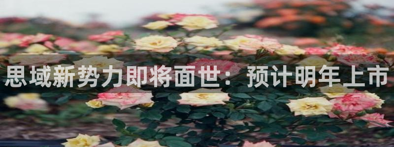 属兔人今年会离婚吗：思域新势力即将面世：预计明年上市
