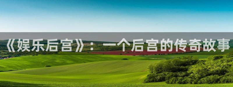 今年会在线预测：《娱乐后宫》：一个后宫的传奇故事