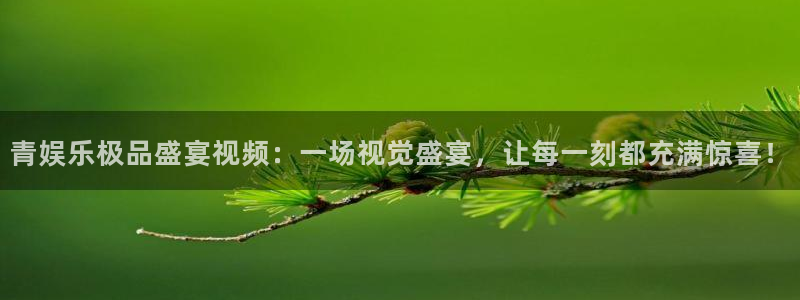 今年会有梦你就来：青娱乐极品盛宴视频：一场视觉盛宴，让每一刻都充满惊喜！