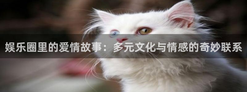 属狗的人今年会发财吗：娱乐圈里的爱情故事：多元文化与情感的奇妙联系