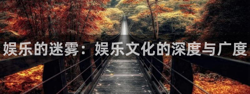 今年2月份退休今年会涨退休金吗：娱乐的迷雾：娱乐文化的深度与广度