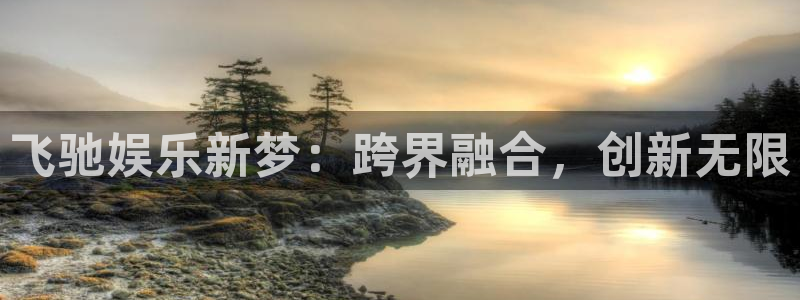 属虎女今年会离婚吗：飞驰娱乐新梦：跨界融合，创新无限