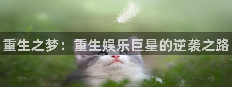 今年会分红代理计划：重生之梦：重生娱乐巨星的逆袭之路