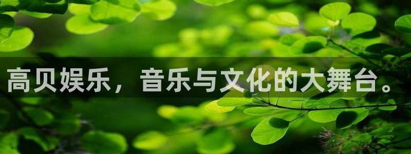 退休人员今年会涨工资吗：高贝娱乐，音乐与文化的大舞台。