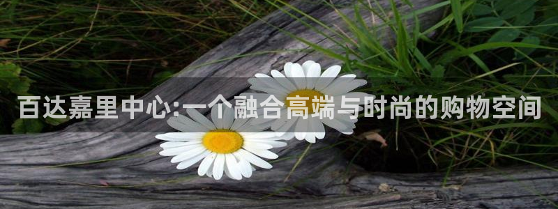 壹号app下载苹果：百达嘉里中心:一个融合高端与时尚的购物空间