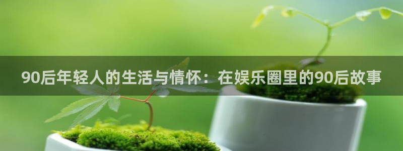 今年会涨大水吗：90后年轻人的生活与情怀：在娱乐圈里的90后故事