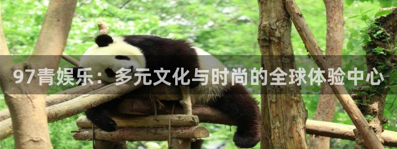 今年会更热吗：97青娱乐：多元文化与时尚的全球体验中心