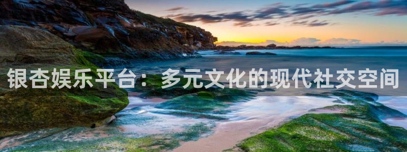 今年会注册：银杏娱乐平台：多元文化的现代社交空间